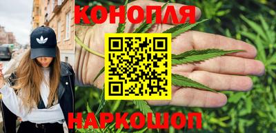 мяу мяу мука Новозыбков