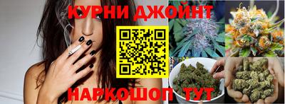 мяу мяу мука Новозыбков