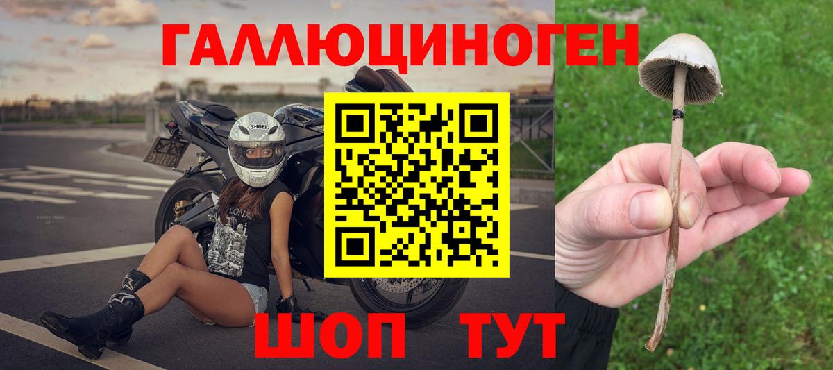 Сердобск  Галлюциногенные грибы Cubensis  Вход с VPN 